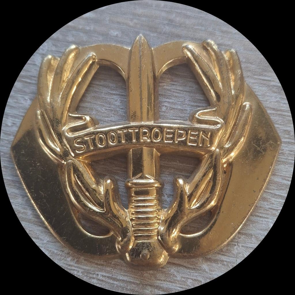 Stoottroepen, Verzamelen, Ophalen of Verzenden, Embleem of Badge