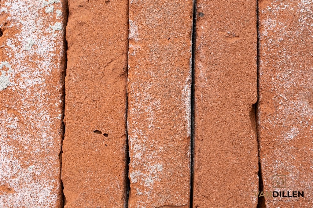 Oude oranje vormbak metselstenen gebikt 22 x 5.5 300M2, Ophalen of Verzenden, Zo goed als nieuw, Bakstenen