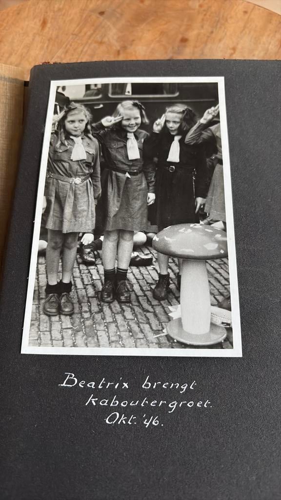 Scouting kabouters 1946 beatrix koningshuis, Verzamelen, Scouting, Ophalen of Verzenden, Zo goed als nieuw, Embleem, Speld of Insigne