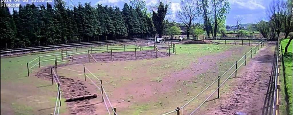 GZ: Overbetuwe/Oosterbeek: plek eigen beheer voor 2 paarden, Dieren en Toebehoren, Stalling en Weidegang, Weidegang, 2 of 3 paarden of pony's