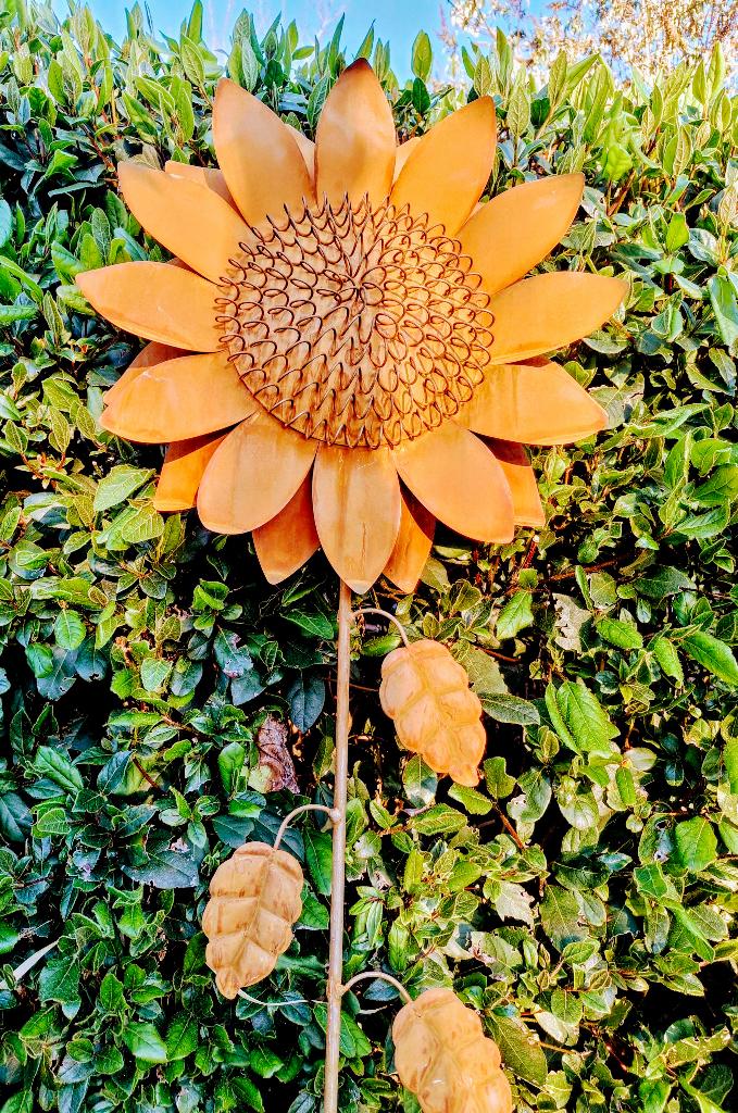 Roest zonnebloem groot op tuinsteker diameter 35 cm., Ophalen of Verzenden, Nieuw