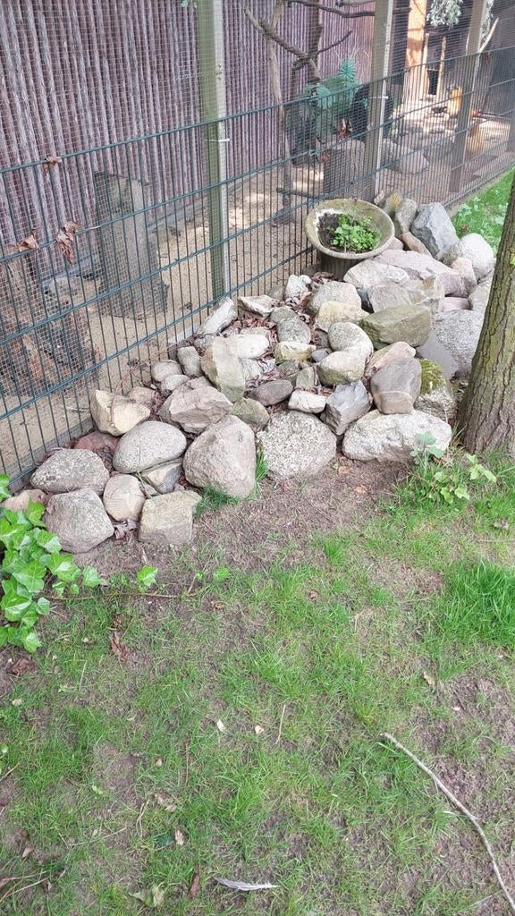 Zwerfkeien voor tuin of landschapsinrichting, Ophalen, Overige materialen, Gebruikt, Kei