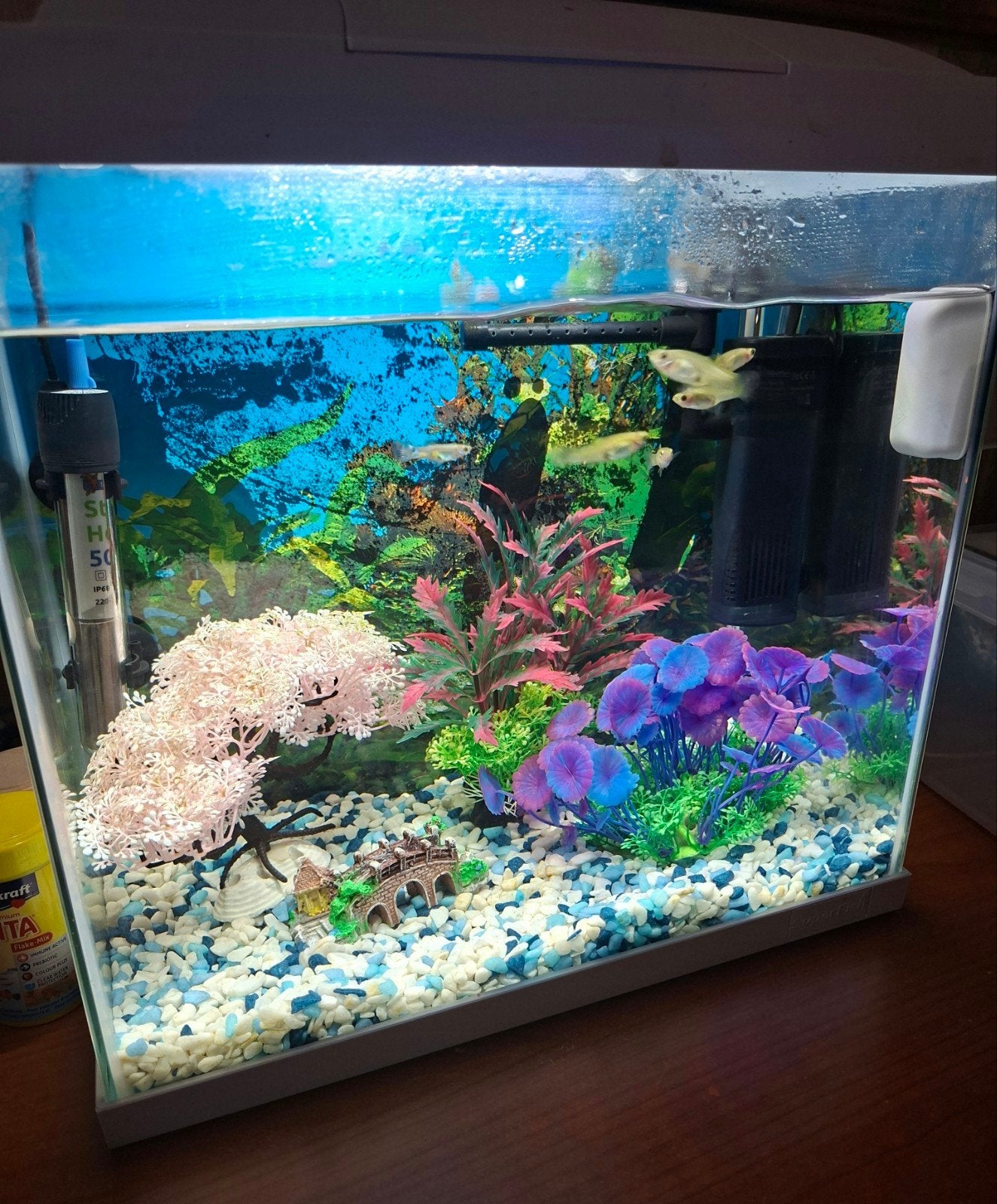 Compleet aquarium inclusief vissen, decoratie en dergelijke, Ophalen, Superfish, Inclusief vissen, Gevuld zoetwateraquarium