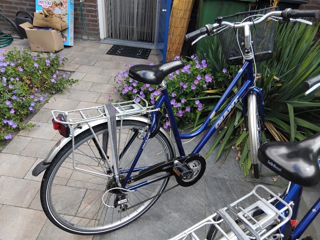 Gebruikte Stadsfietsen, Fietsen en Brommers, Fietsen | Dames | Damesfietsen, Ophalen, Velgrem, Versnellingen, Giant