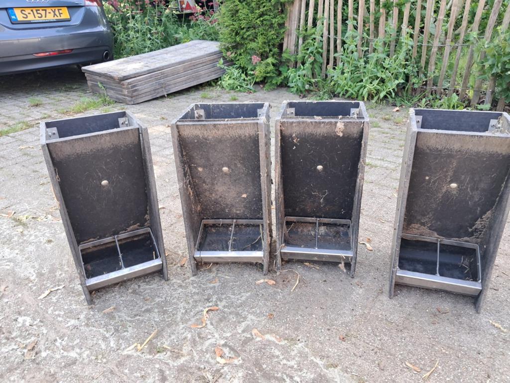 Biggen voerbakken, Meerdere dieren, Varken