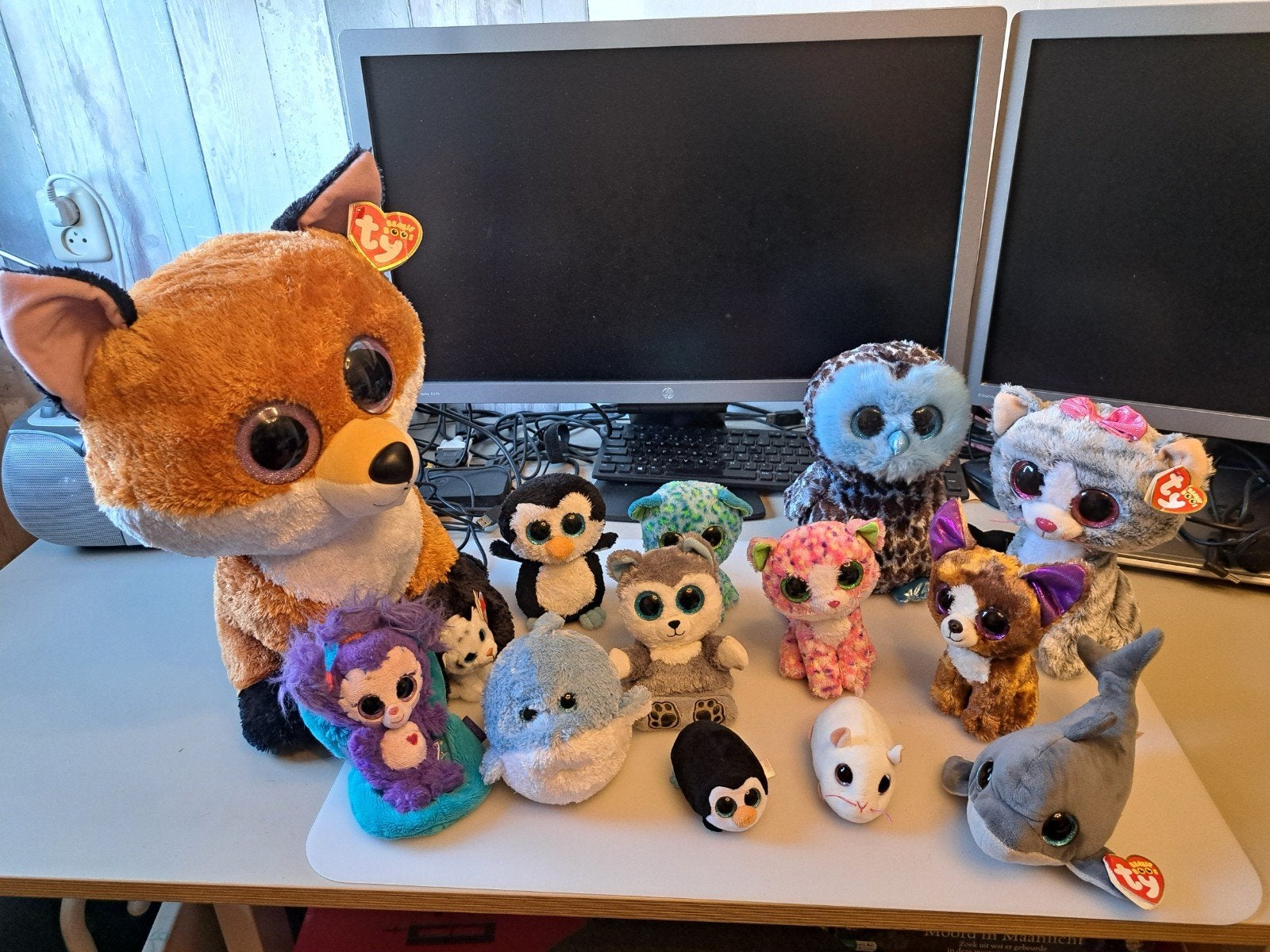 TY beanies knuffels te koop., Ophalen, Overige typen