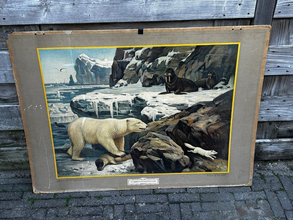 In sneeuw en ijs, Ophalen of Verzenden, Natuur en Biologie