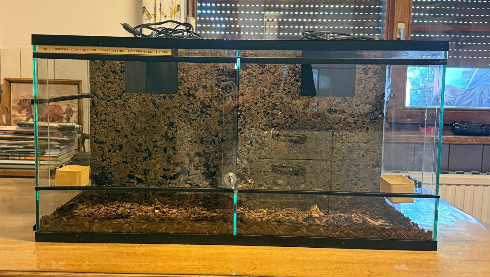 Dubbelvaks terrarium, Dieren en Toebehoren, Ophalen, Zo goed als nieuw