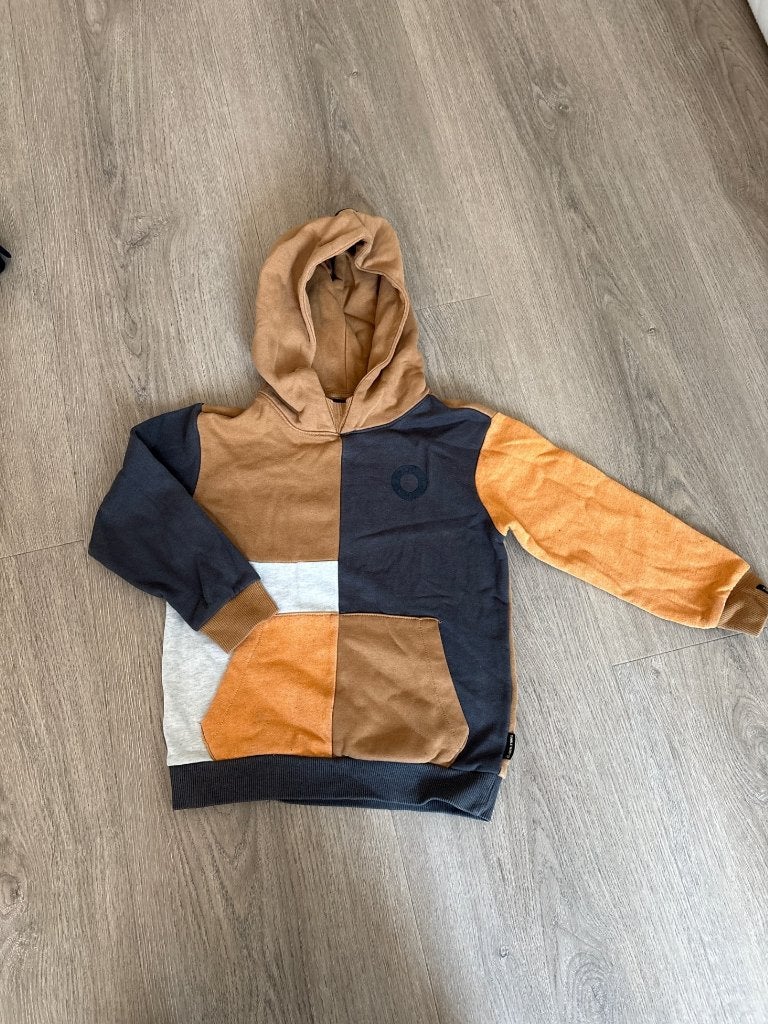 Trui/Hoody maat 110., Kinderen en Baby's, Kinderkleding | Maat 110, Tumble 'n Dry, Gebruikt, Trui of Vest, Ophalen of Verzenden