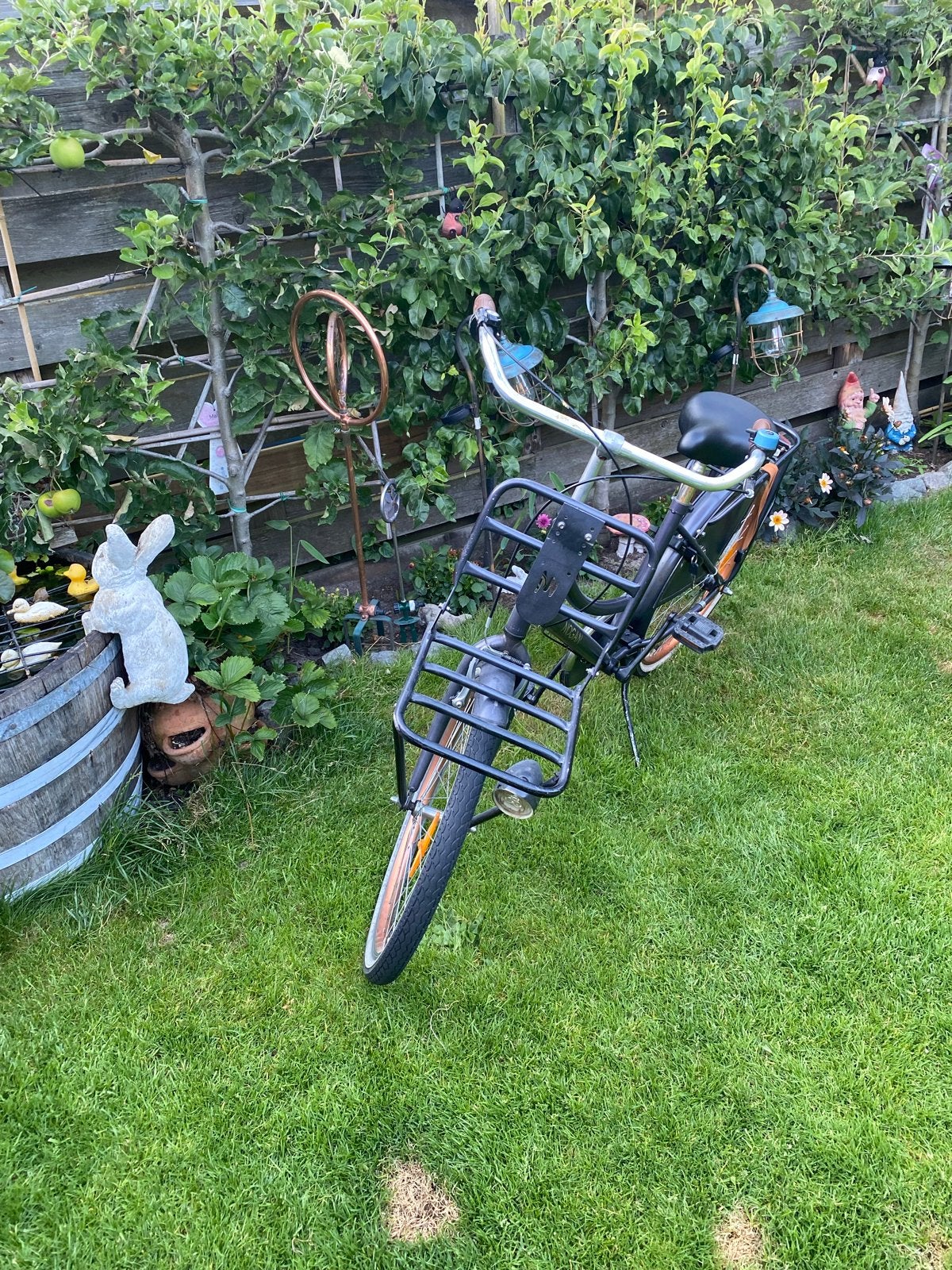 Nogan fiets met voordrager en terugtraprem, Terugtraprem, Gebruikt, Versnellingen, 53 tot 57 cm