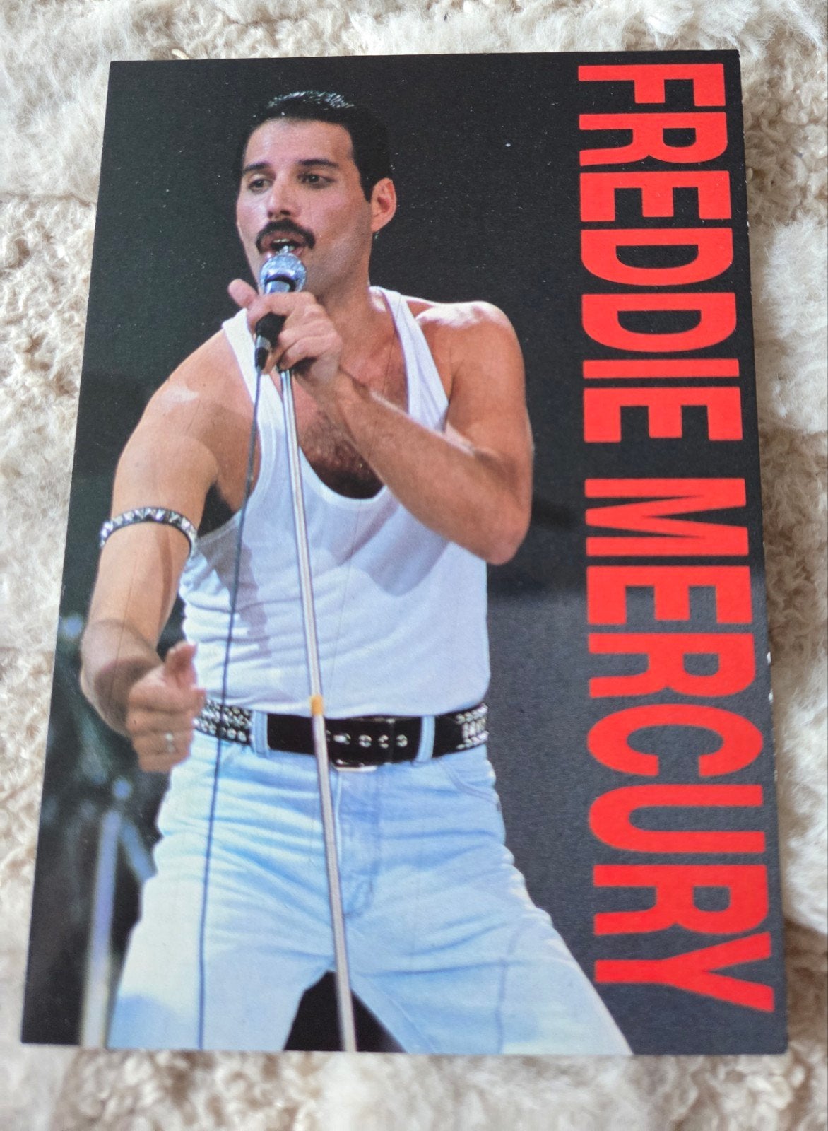 Freddie Mercury - Queen, Verzamelen, Ansichtkaarten | Themakaarten, Ongelopen, 1980 tot heden, Sterren en Beroemdheden, Verzenden