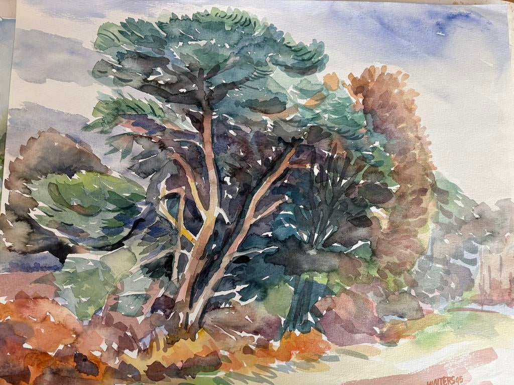 Drenthe aquarel  40x50 cm, Antiek en Kunst, Kunst | Schilderijen | Klassiek, Ophalen of Verzenden