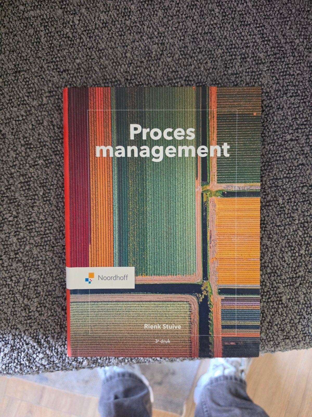 Procesmanagement - Rienk Stuive (3e druk), Rienk Stuive, Zo goed als nieuw, Gamma, HBO