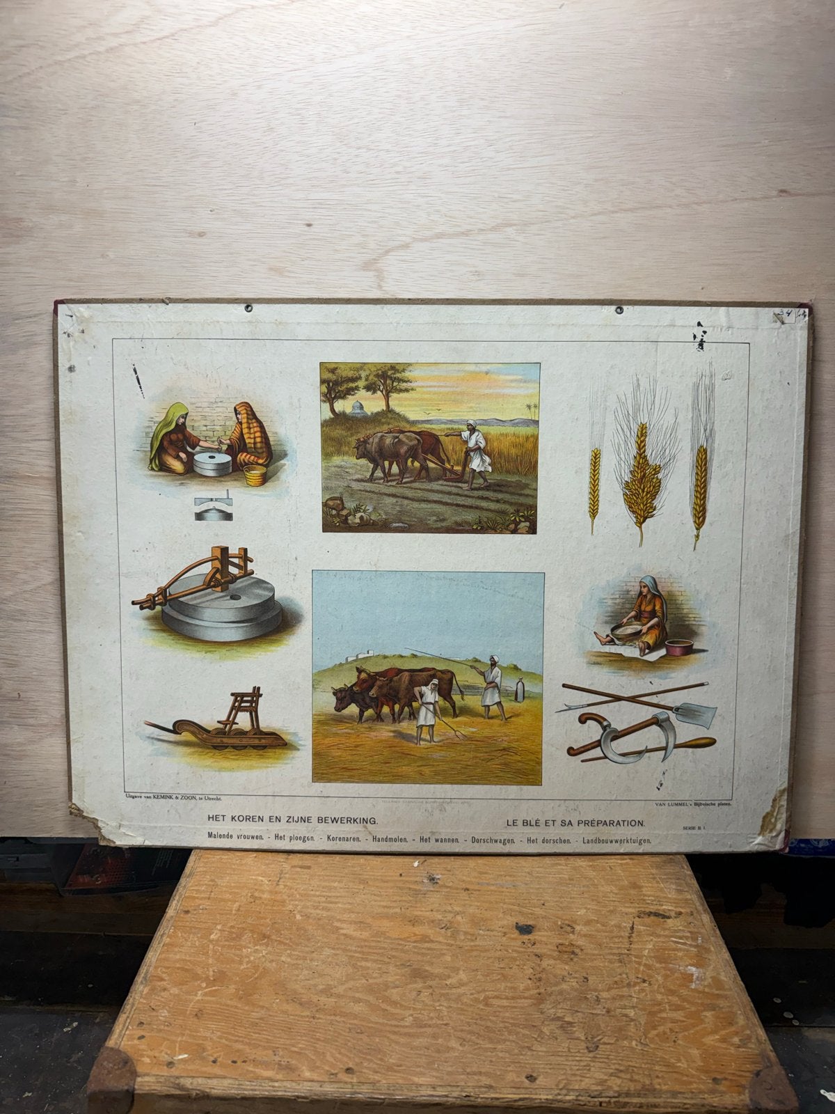 Vintage Schoolplaat: Het Koren en Zijn Bewerking (73,5x54,5, Antiek en Kunst, Antiek | Schoolplaten, Ophalen of Verzenden, Overige thema's