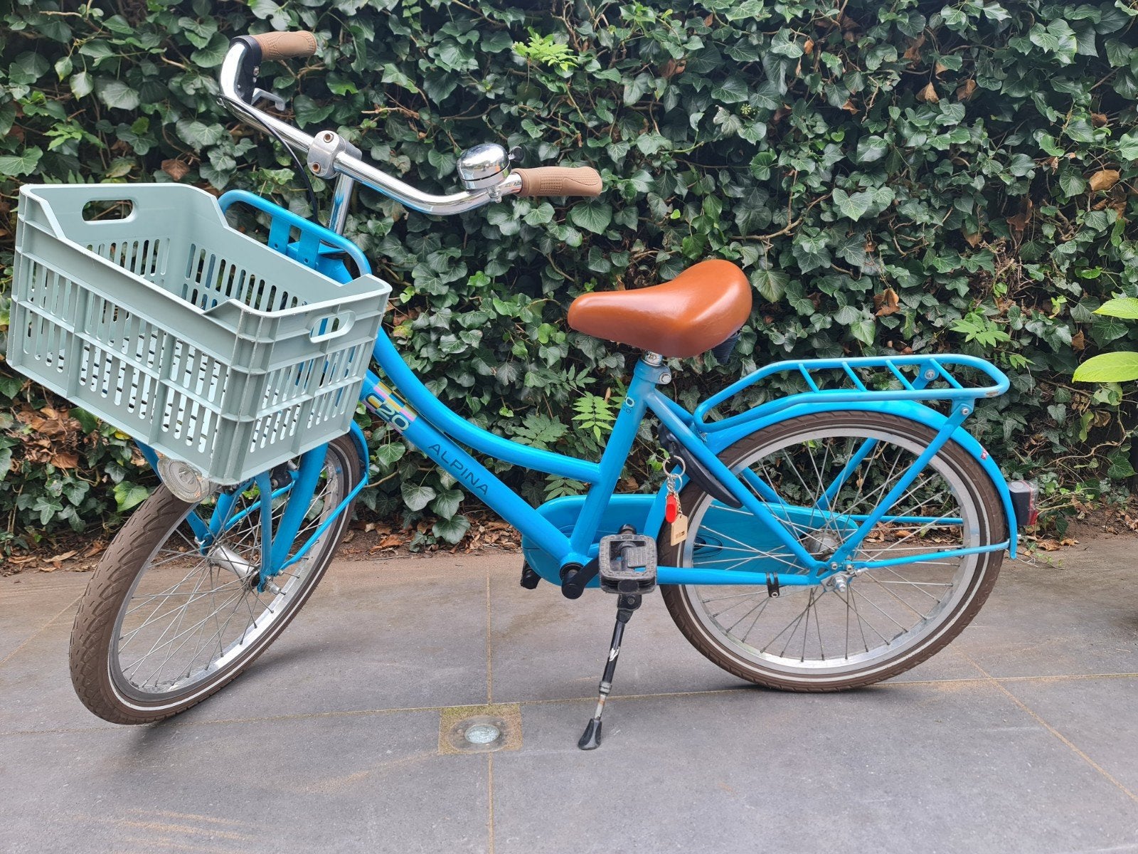 Alpina Cargo 20 inch, Fietsen en Brommers, Ophalen, Terugtraprem, Alpina Cargo, 20 inch