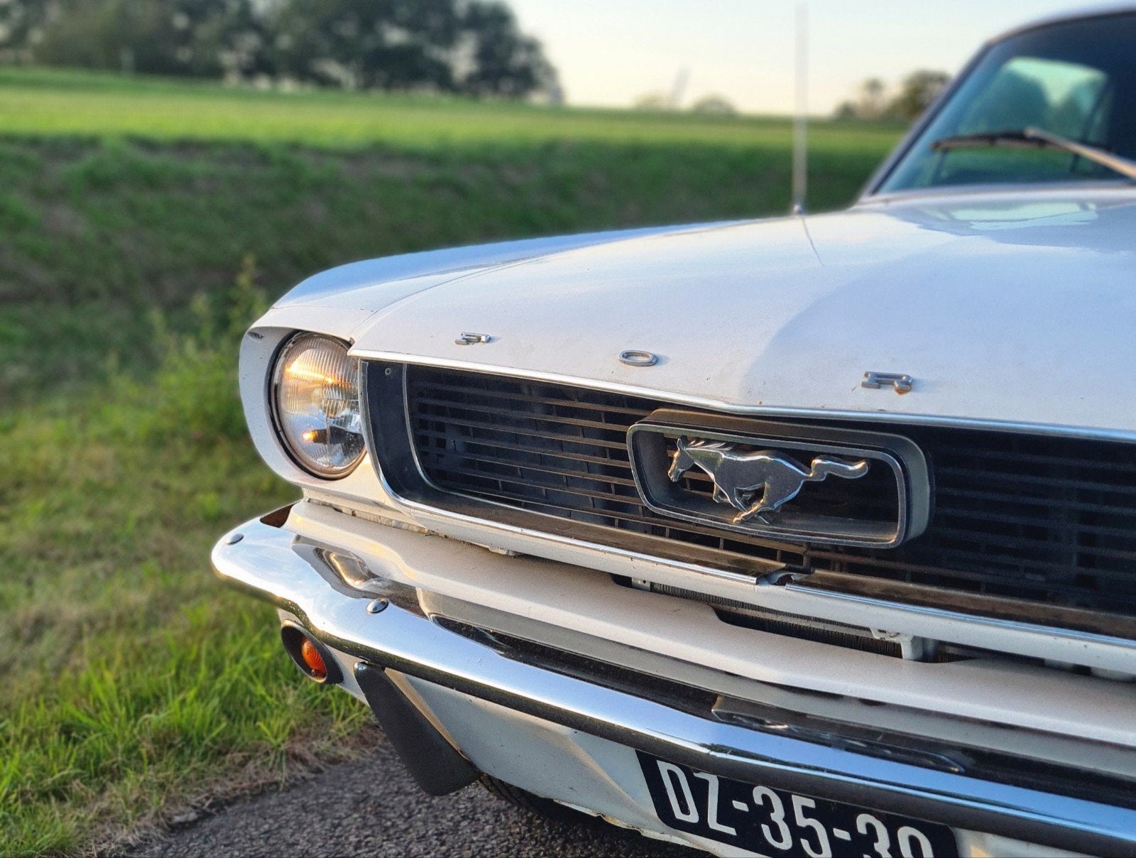 Ford Mustang 289 V8 1966 AC car Californië, Automaat, 4733 cc, Zwart, Wit