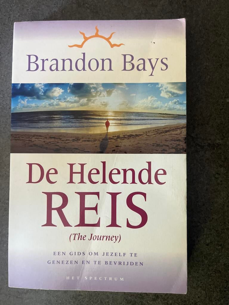 De Helende Reis - Brandon Bays (The Journey), Ophalen of Verzenden, Gelezen, Nederland