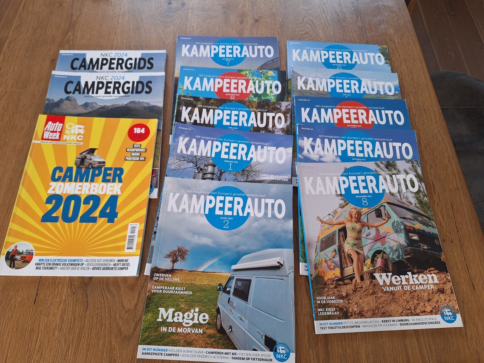Kampeerauto  en campergidsen (diverse) 13x, Boeken, Ophalen of Verzenden, Gelezen, Overige typen