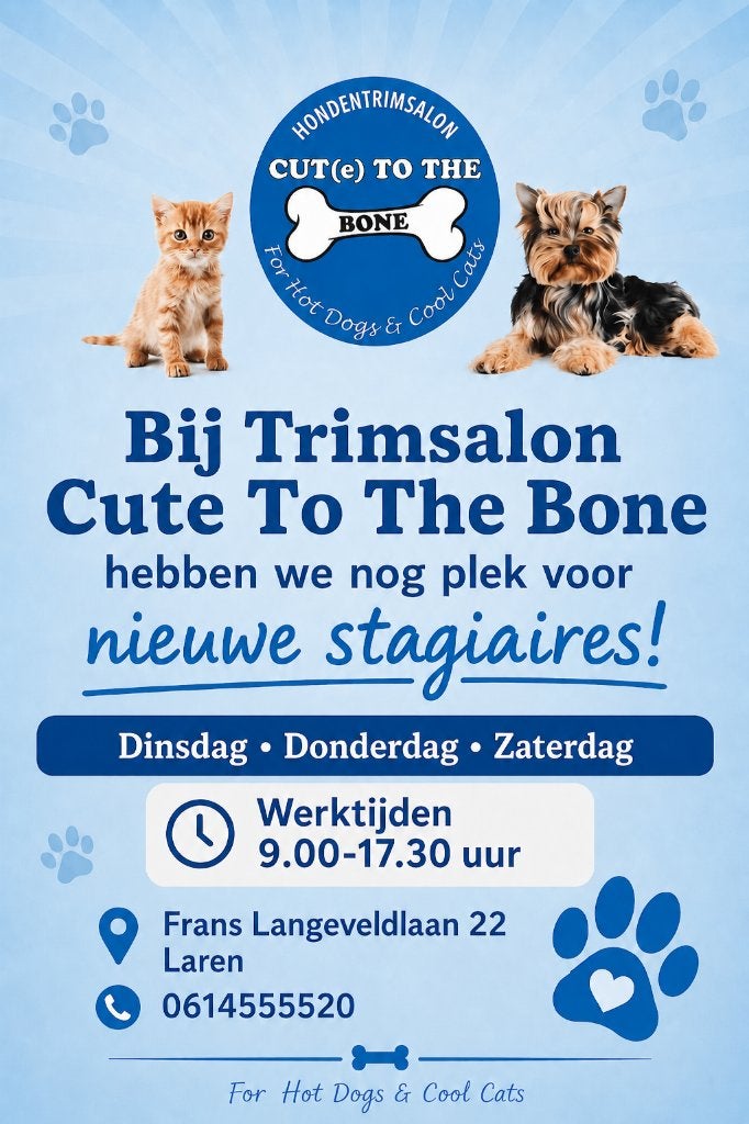stagiaires gezocht, Ophalen of Verzenden
