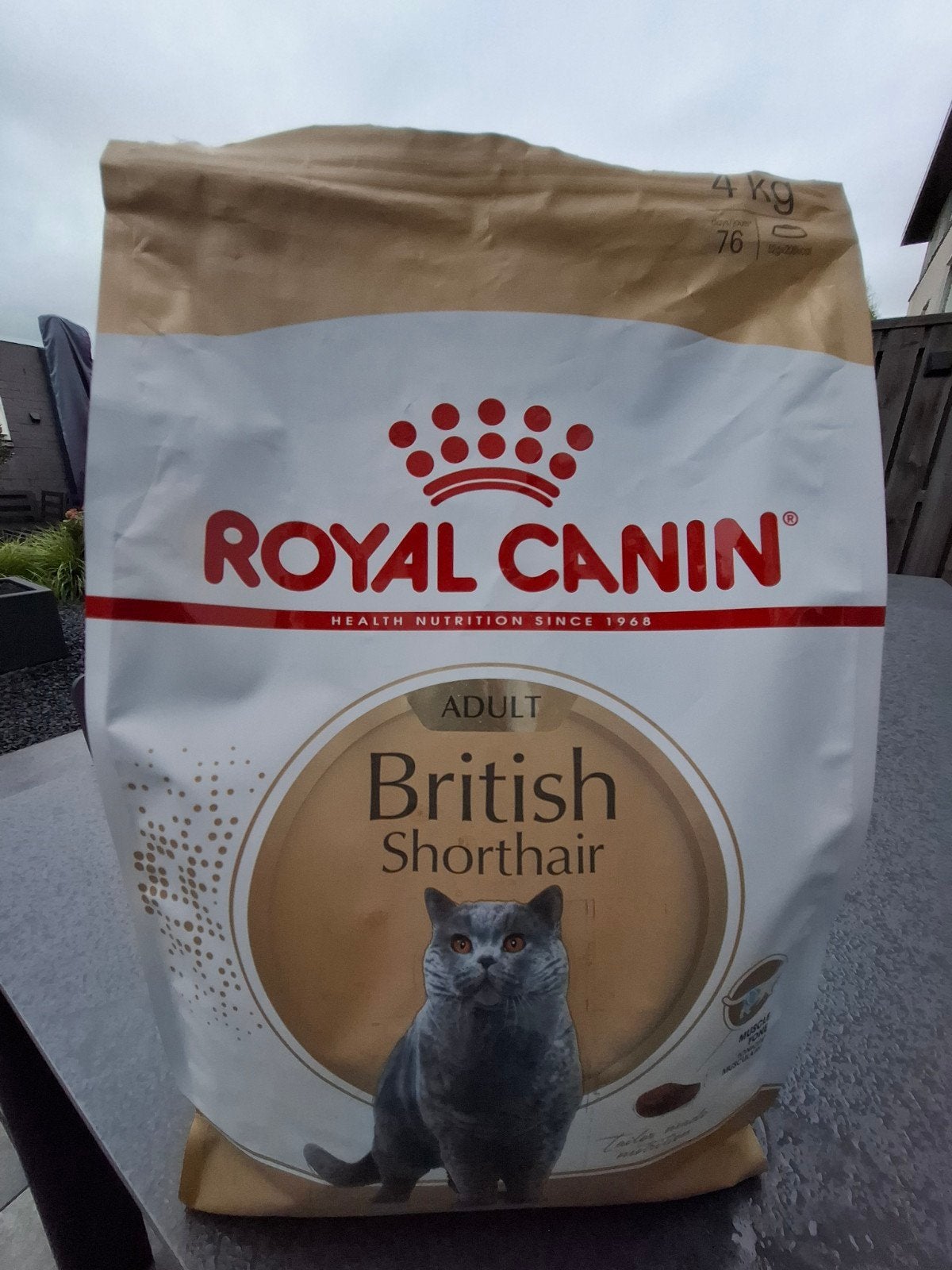 Royal Canin brokken voor Britse korthaar, Ophalen of Verzenden