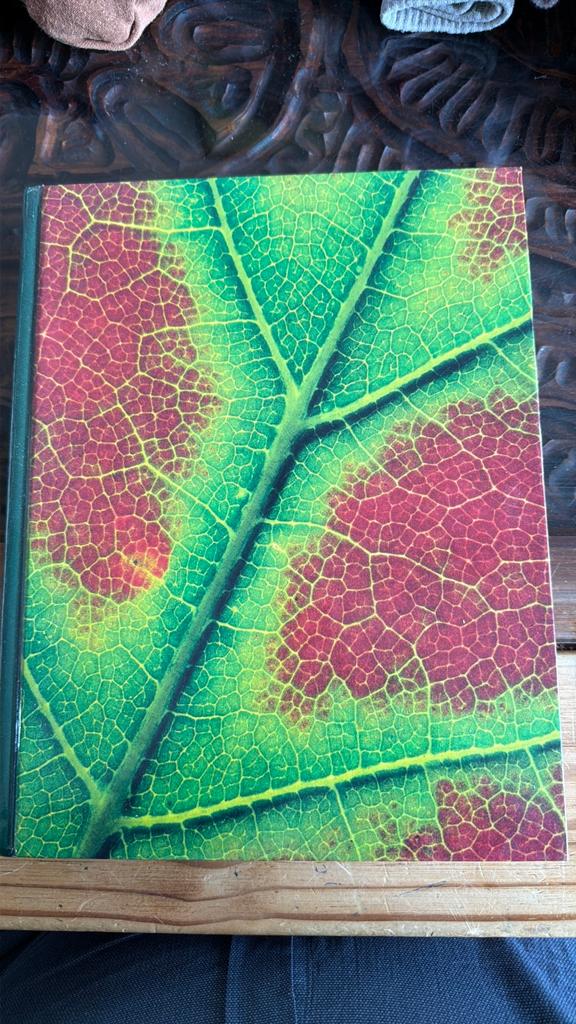 Plant Physiology - Frank B. Salisbury & Cleon W. Ross (1992), Ophalen of Verzenden, Beta, Gelezen, HBO