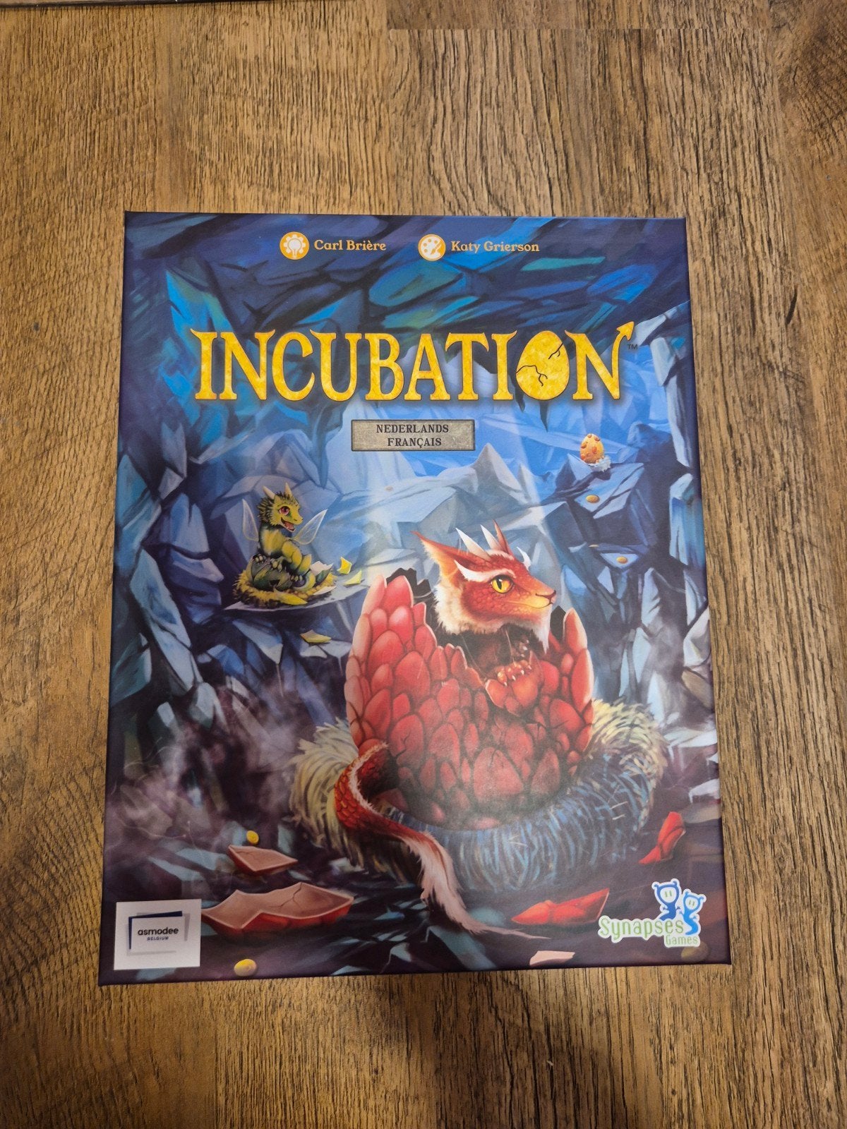 Incubation, Vijf spelers of meer, Ophalen of Verzenden, Zo goed als nieuw, Synapses games