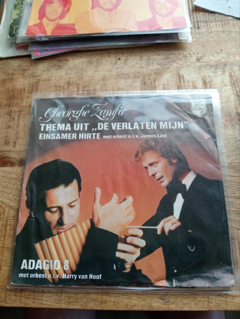 Gheorghe zanfir, Cd's en Dvd's, Vinyl Singles, Ophalen of Verzenden, Zo goed als nieuw, Nederlandstalig