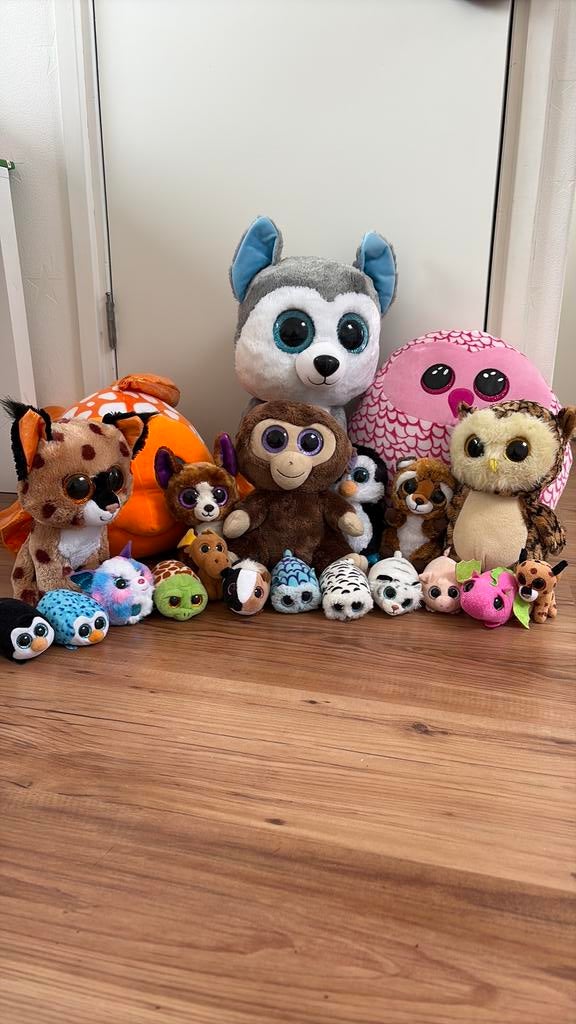 Ty Beanie knuffels alles in een koop, Ophalen of Verzenden, Zo goed als nieuw, Overige typen