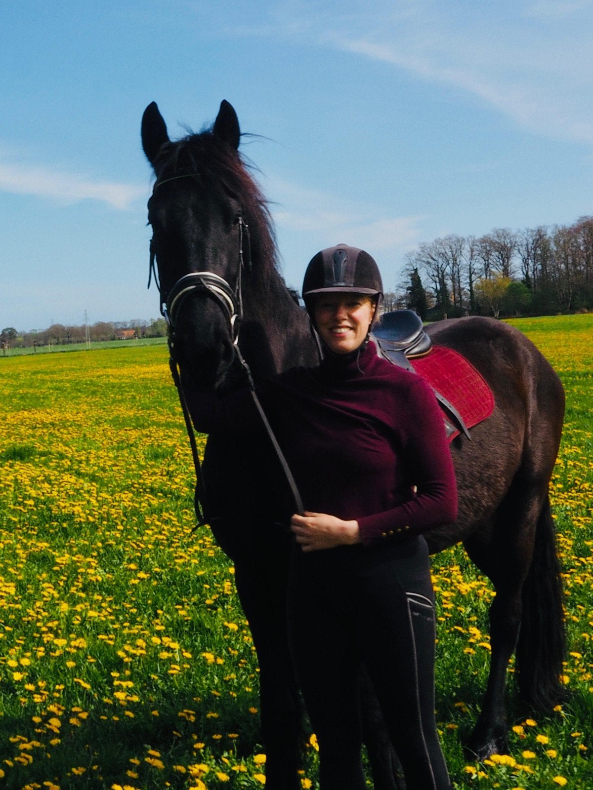 Zeer lieve 3 jarige friese ruin, Dieren en Toebehoren, Paarden, Gechipt, Ruin, Zadelmak, 3 tot 6 jaar