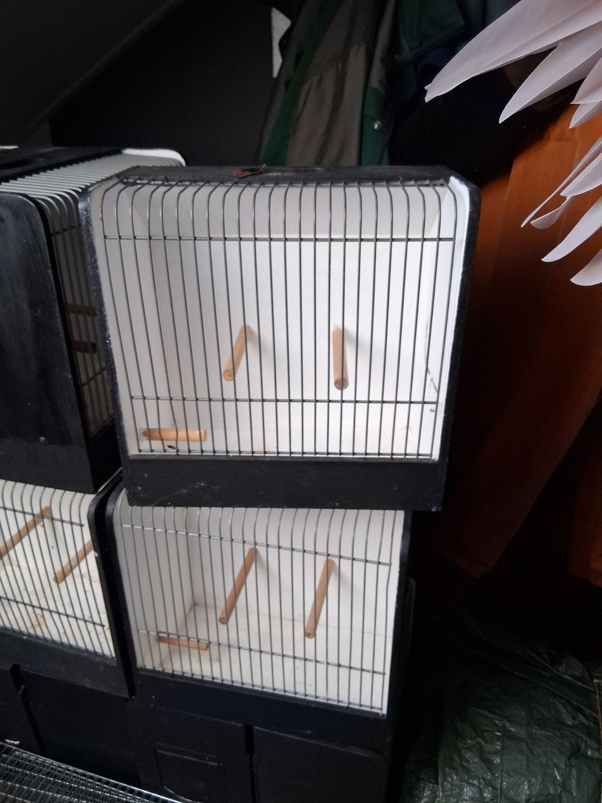 tt kooien, Ophalen, Gebruikt, Hout, Vogelkooi