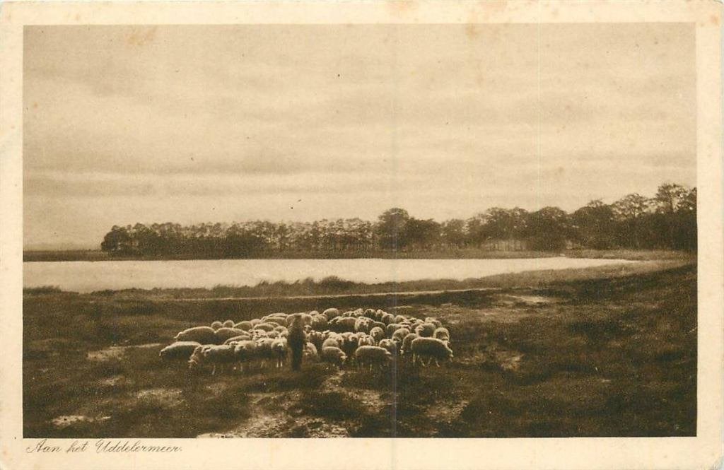 388-530-001 Uddel Aan het Uddelermeer, Verzamelen, Verzenden, Voor 1920, Gelderland