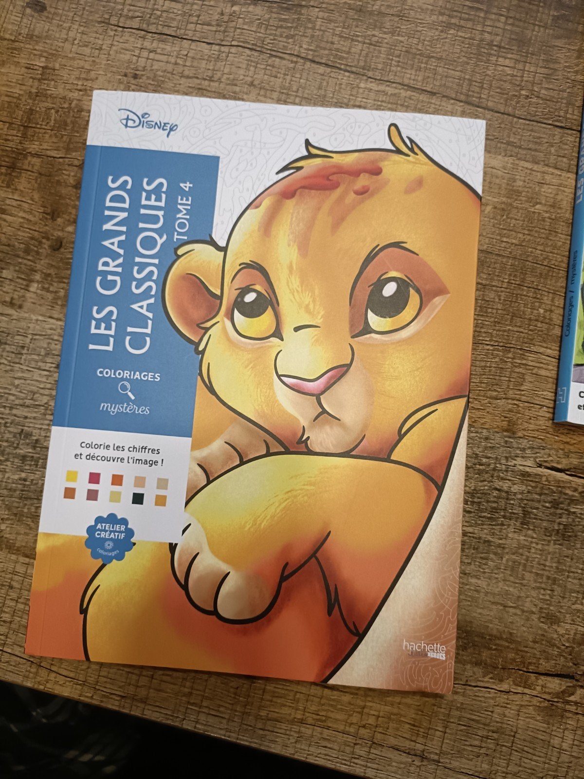 Nieuw Disney Kleuren op Nummer Boek - De Leeuwenkoning, Film en tv, Nieuw, Meerkleurig, Ophalen of Verzenden