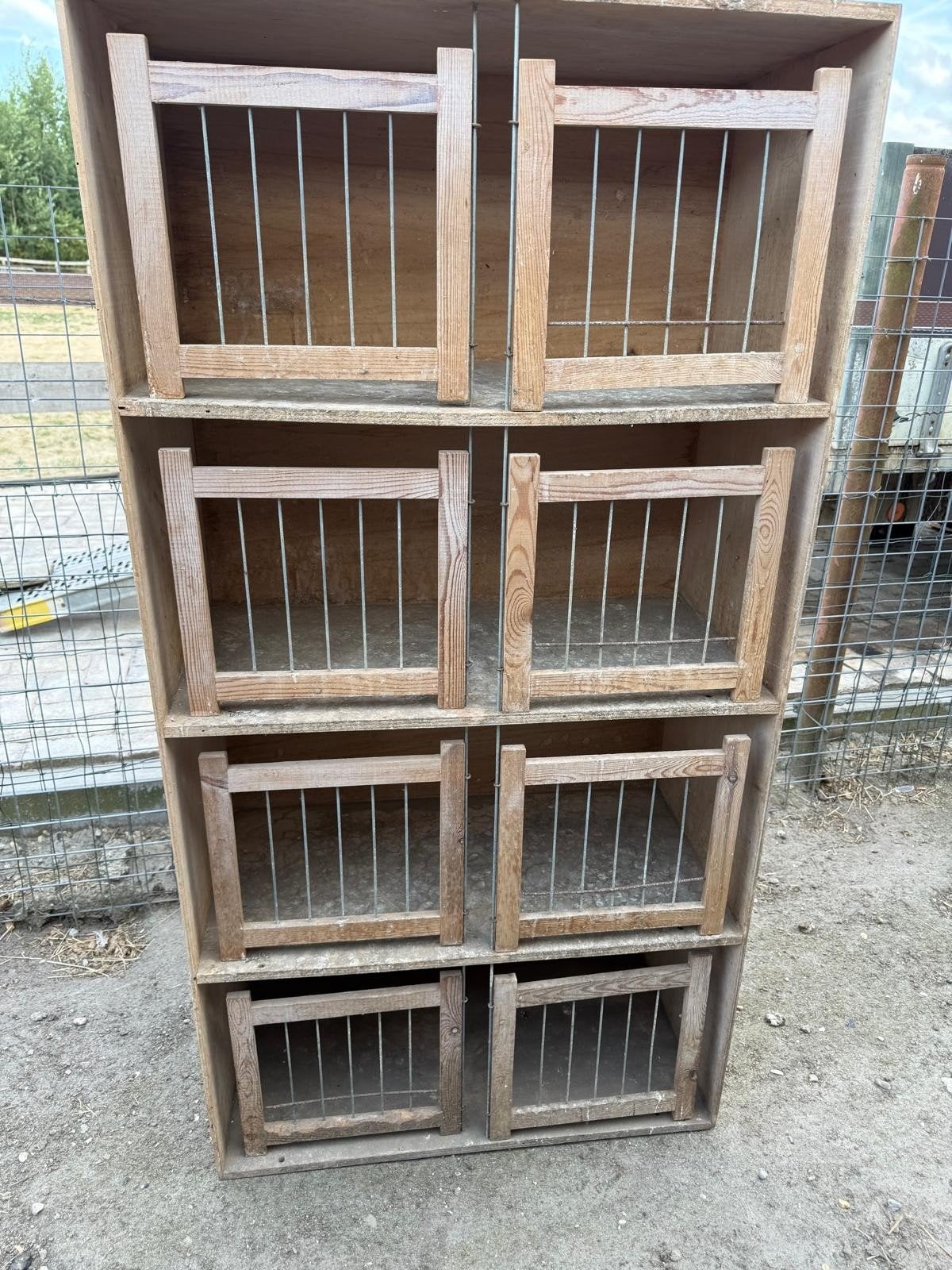 Te koop duiven broedhokken, Dieren en Toebehoren, Vogels | Duiven, Meerdere dieren, Postduif