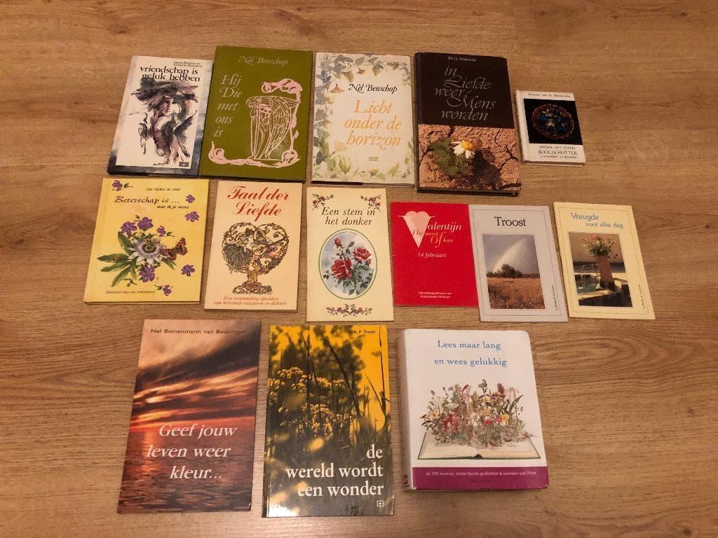 Boeken Poëzie / gedichten / spreuken / overwegingen, Boeken, Gedichten en Poëzie, Ophalen, Gelezen, Nel Benschop, Meerdere auteurs