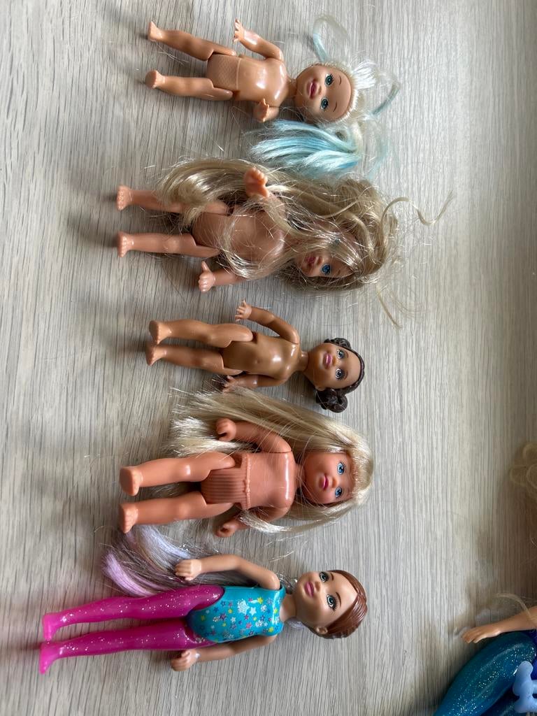 Grote collectie van 28 Barbiepoppen, Ophalen, Gebruikt, Barbie