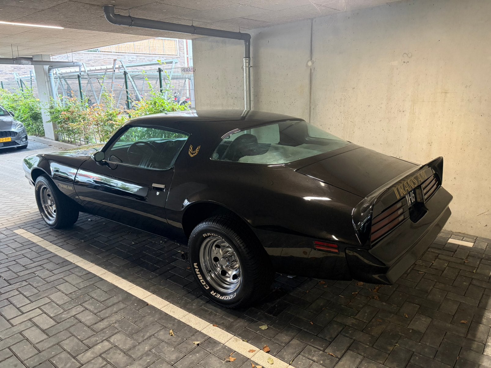 Pontiac Firebird 1976 5.7, foto 3