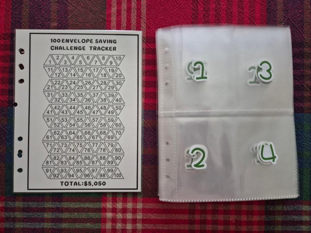 Budget Cashstuffing 100 Day Envelop Challenge, Ophalen of Verzenden, Zo goed als nieuw