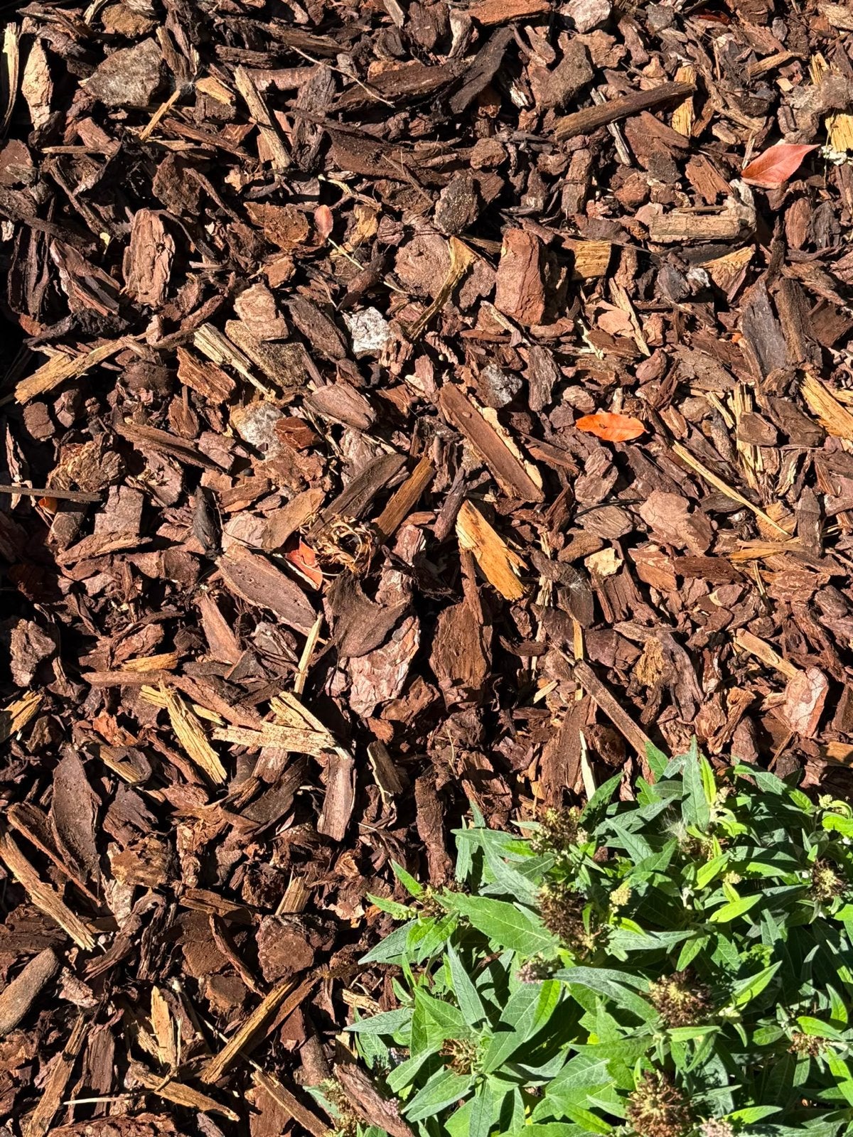 HerbiStop Sierschors, houtsnippers, boomschors, Ophalen, Boomschors