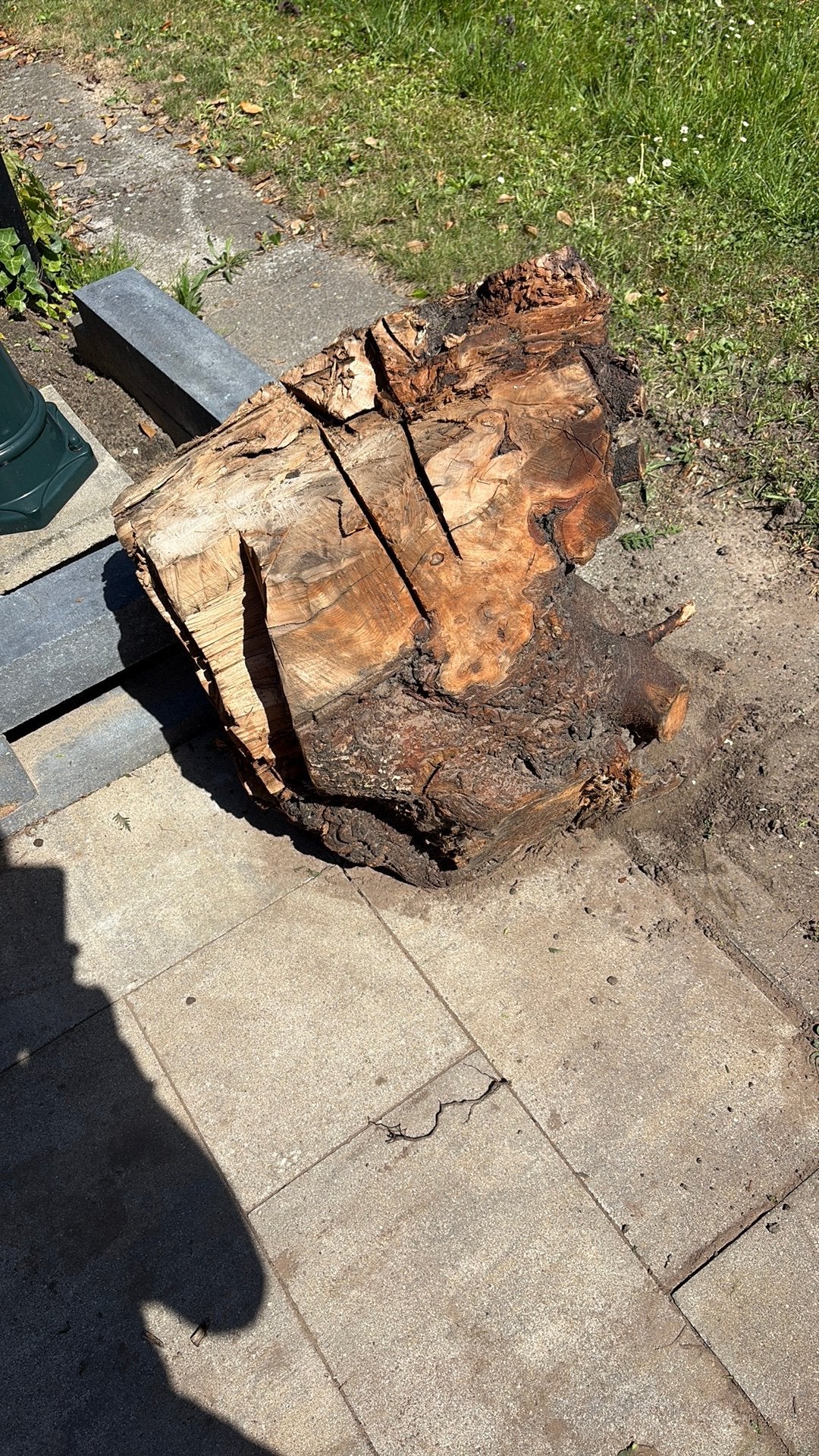 Grote stronk voor openhaard hout gratis, Minder dan 3 m³, Ophalen
