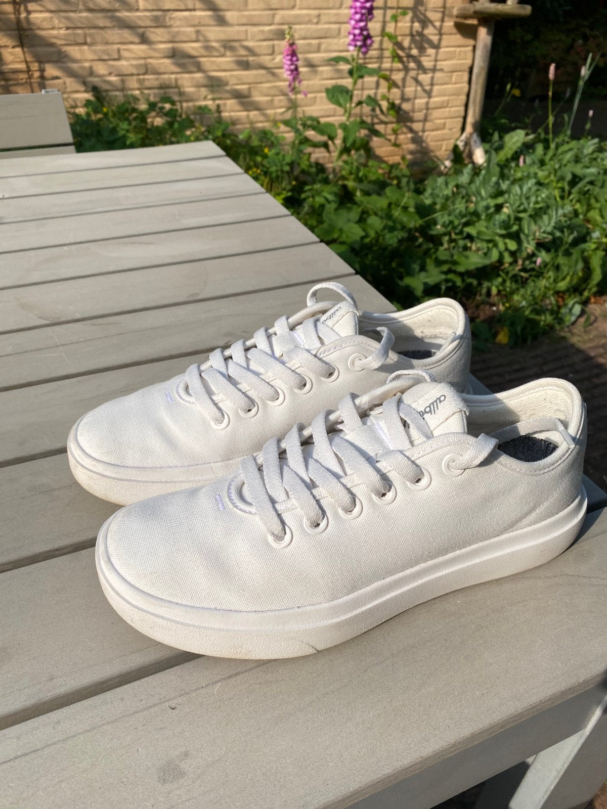 Allbirds sneakers (canvas pipers) wit maat 39, Ophalen of Verzenden, Zo goed als nieuw, Wit, Sneakers of Gympen