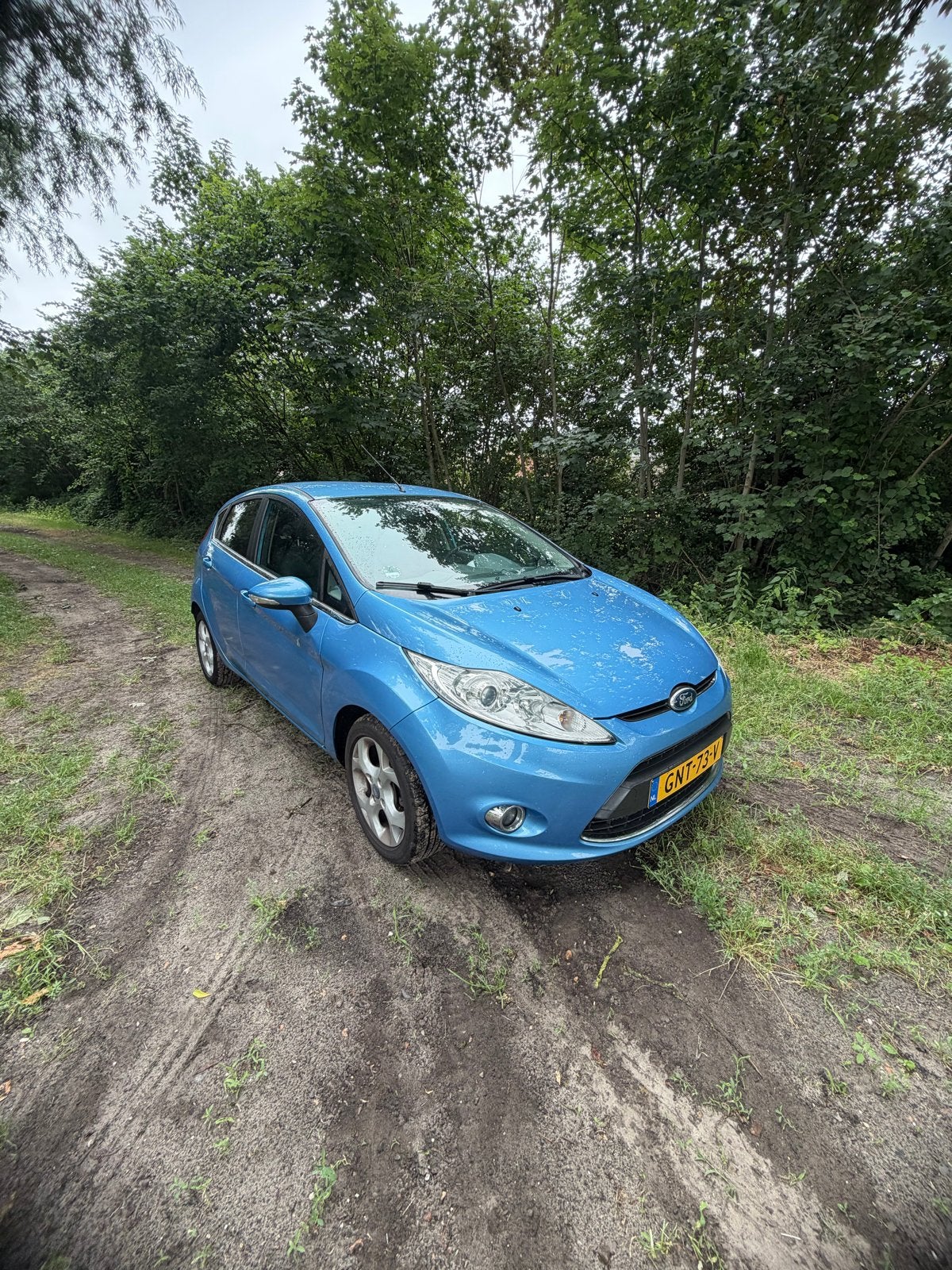 Ford Fiësta 1.6 Tdci 5DR 2011 Blauw, Ophalen