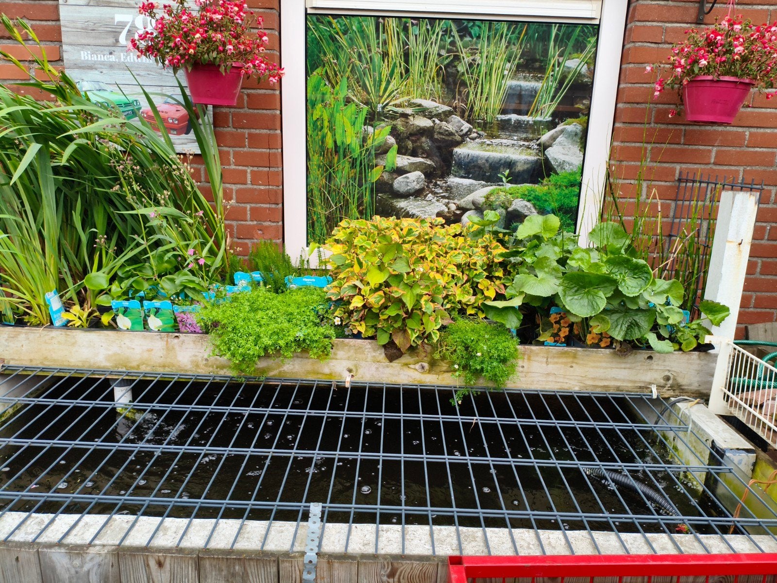 Vijver planten, Ophalen, Nieuw, Overige typen