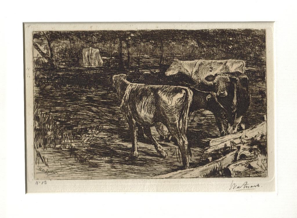 Willem de Zwart ets "Drie Koeien", gesigneerd, passepartout, Ophalen, Flora en Fauna, Ets, Origineel