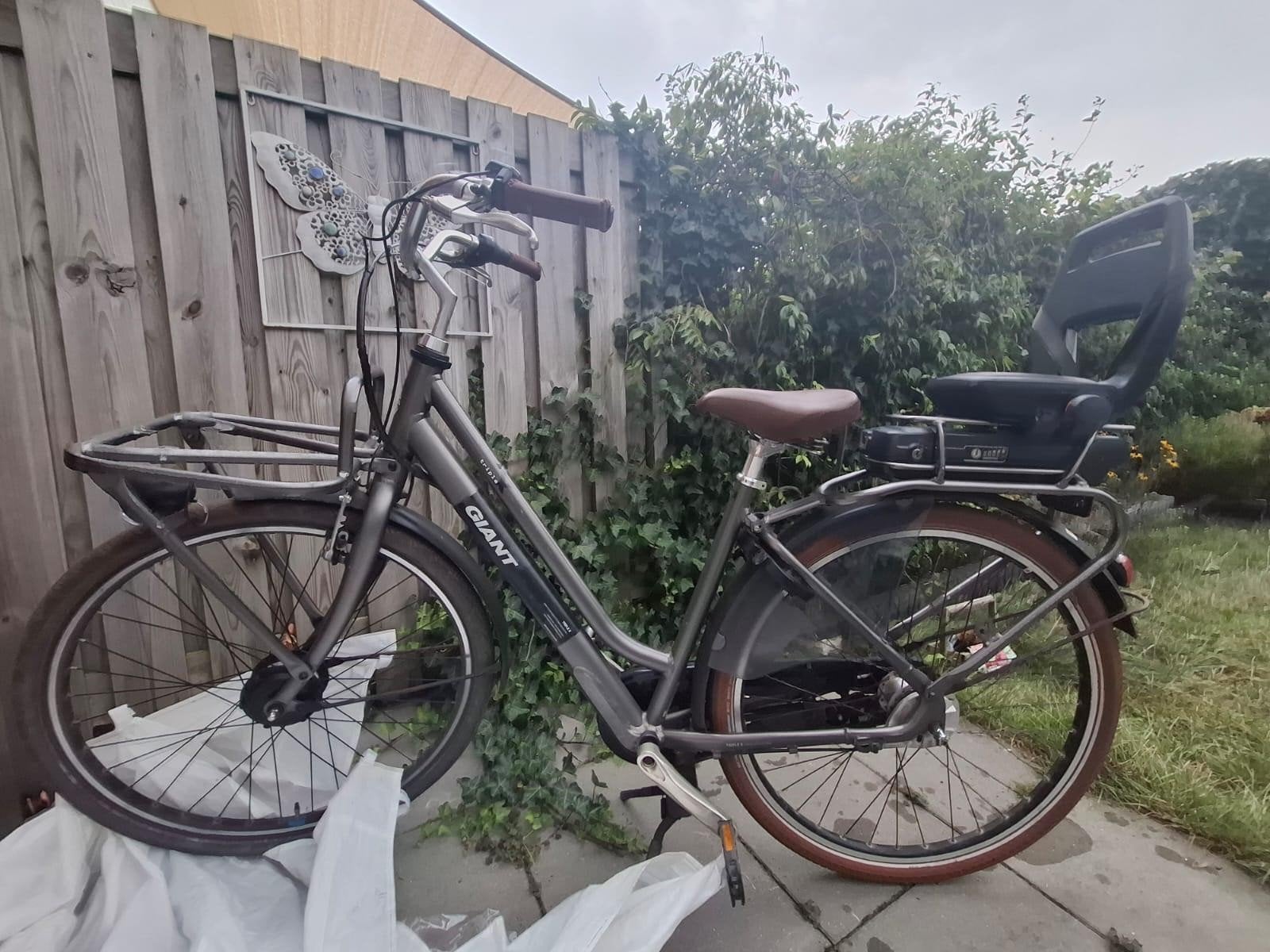 Giant Triple-X electrische transportfiets energypack 500, Ophalen of Verzenden