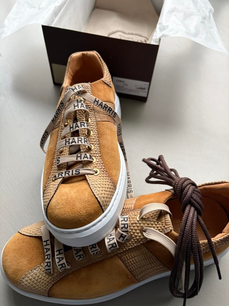 Nieuwe Harris schoenen maat 7,5, Kleding | Heren, Schoenen, Ophalen of Verzenden, Nieuw, Overige kleuren