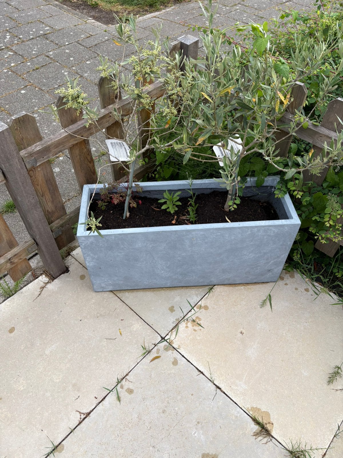 Plantenbak, Tuin en Terras, Ophalen, Steen, Minder dan 60 cm, Zo goed als nieuw