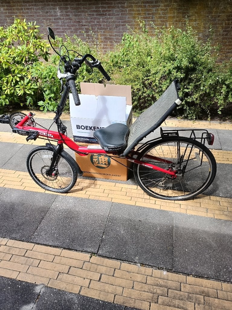 Unieke Burley Django Ligfiets fiets, Ophalen, Gebruikt, Overige merken