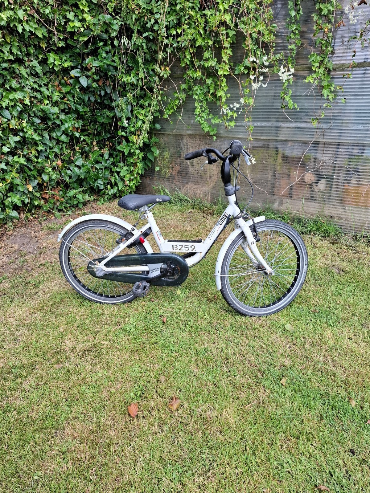batavus meisjesfiets 20 inch, Fietsen en Brommers, Ophalen, Terugtraprem, Gebruikt, Versnellingen