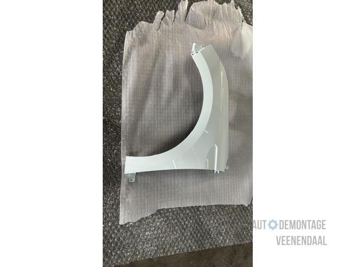 Scherm links-voor van een Renault Clio (OV369), -, Renault, -, Nieuw