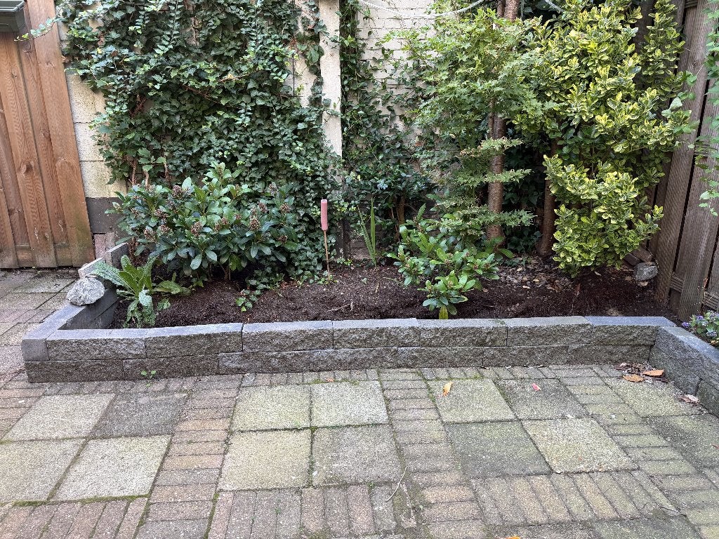 Border rotsstenen rand, Ophalen, Gebruikt, Minder dan 25 cm, Border